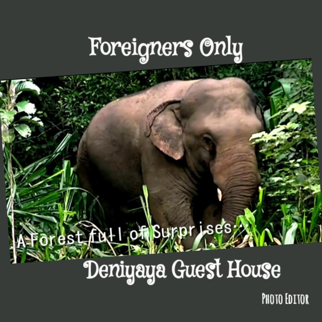 Deniyaya Guest House Esterno foto