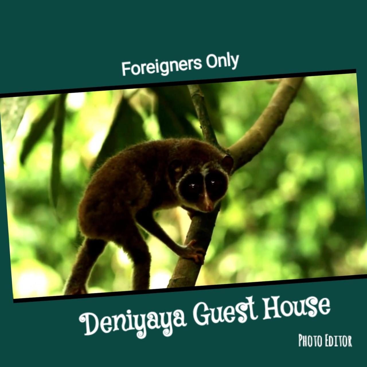 Deniyaya Guest House Esterno foto